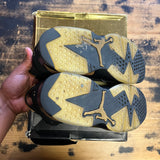 Jordan 6 DMP