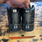 Jordan 12 The Master