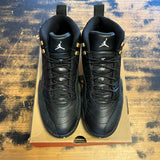 Jordan 12 The Master