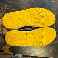 Jordan 1 Pollen