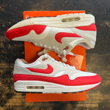 Nike Air Max 1 Anniversary