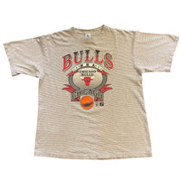 Vintage Chicago Bulls Grey Stripe Tshirt