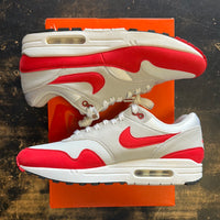 Nike Air Max 1 Anniversary